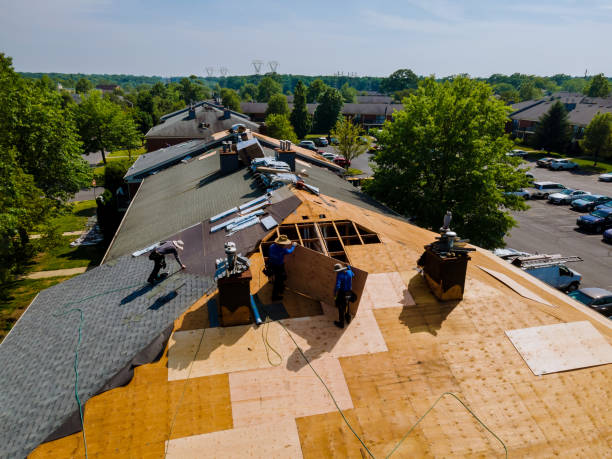 Best Roof Waterproofing Services  in Hughestown, PA