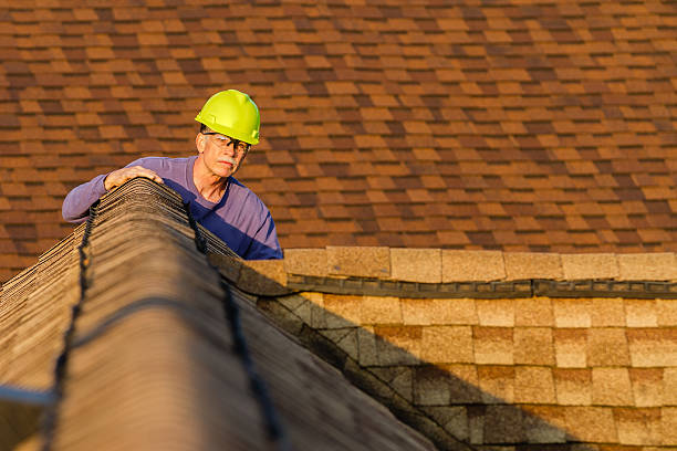 Roof Gutter Cleaning in Hughestown, PA